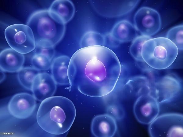 Cancer Stem Cells Market Size, Share 2024-2032