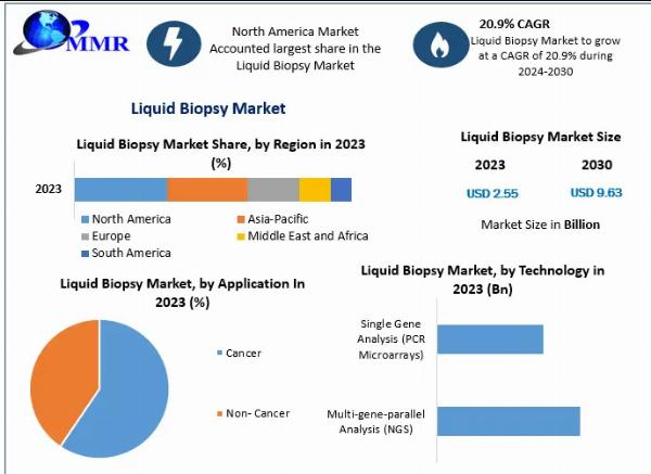 Liquid Biopsy Market – Developments, Key Players, Statistics and Outlook 2030