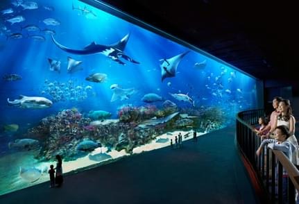 Exploring S.E.A. Aquarium Singapore: Your Ultimate Guide to Tickets and Experience