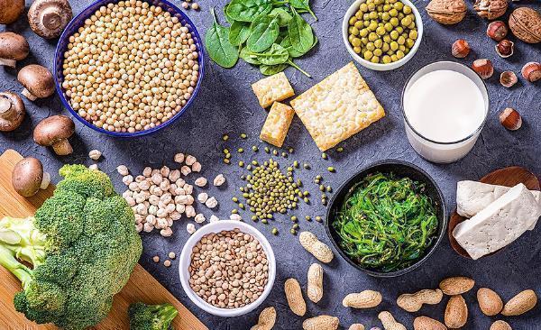 Food Alternative Protein Market Size, Share, Growth and Forecast 2024-2032