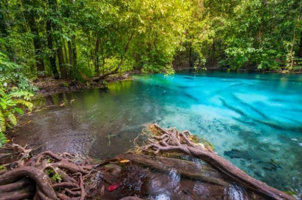Thailand Travel Bucket List: Things to Do and See