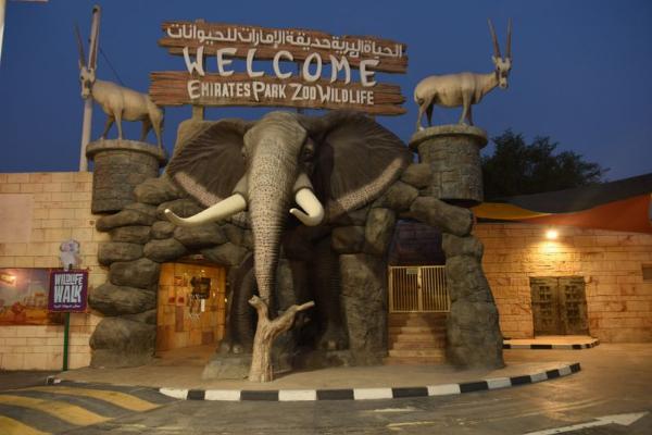 Discovering the Wonders of Nature: Best Parks and Wildlife Encounters and Scenic Views