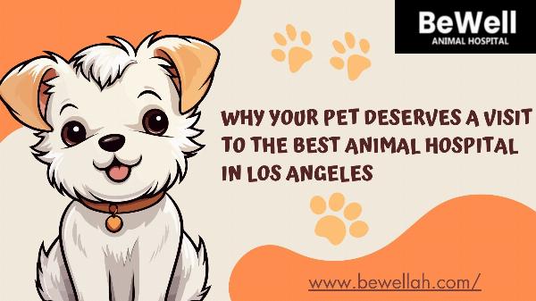 Why Your Pet Deserves A Visit To The Best Animal Hospital In Los Angeles