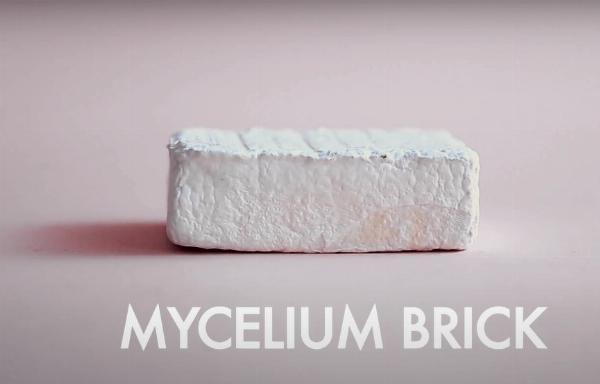 Mycelium Brick Manufacturing Plant Report- Detailed Process Flow, Unit Operations and Raw Material Requirements