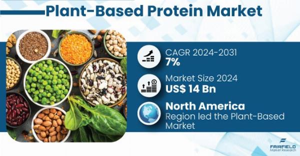 Who are the Main Players in the North America Plant-Based Protein Market?