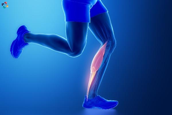 Gastrocnemius Tendinopathy Exercises: A Comprehensive Guide
