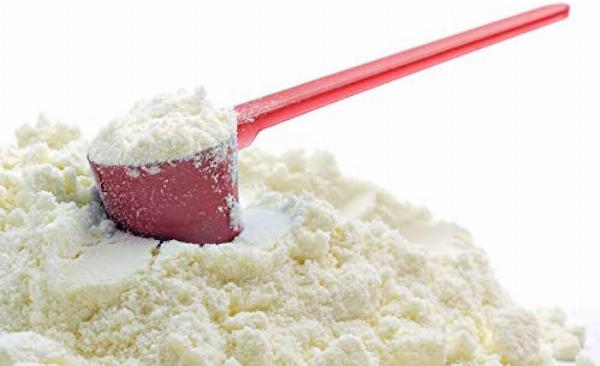 Cream Powder Manufacturing Plant Project Report 2024: Production Process, Raw Materials Requirement, Cost and Revenue