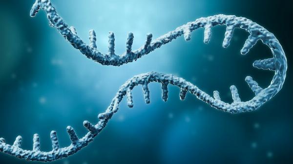 Antisense Oligonucleotides Market Key Players Profile Share and Growth by 2032