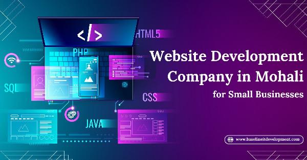 Affordable Website Development Company in Mohali for Small Businesses