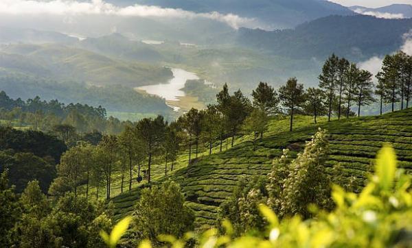 6 Cultural Sites to Explore in Munnar