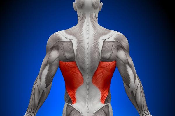 Understanding Latissimus Dorsi Pain: Causes, Symptoms, and Treatment