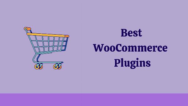 Top 2 WooCommerce Plugins In 2024 To Enhance Your Customer Experience