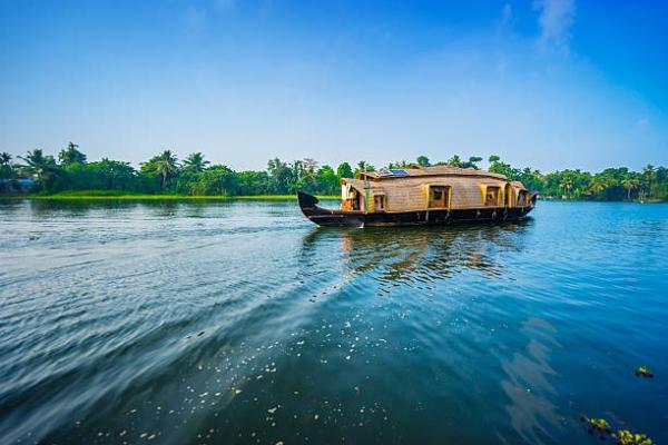 5 Must-Do Experiences for Families in Kerala