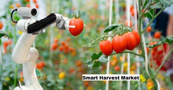 Smart Harvest Market: Enhancing Urban Agriculture with IoT Integration