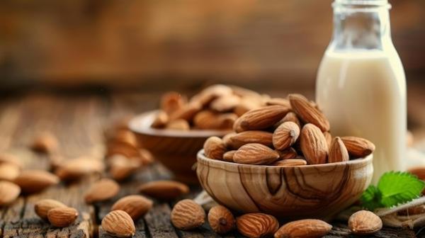 Setup Report on Almond Milk Manufacturing Plant- Detailed Process Flow, Project Cost and Economics