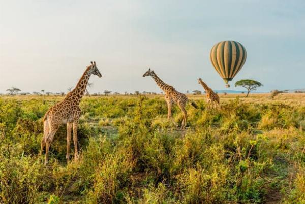 5 Unique Cultural Experiences in Tanzania