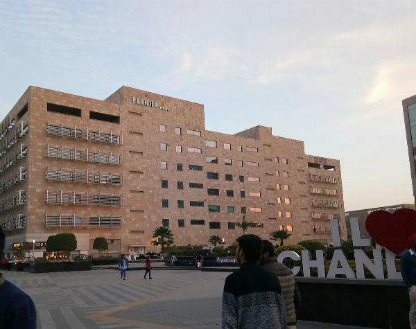 Discover Chandigarh: Top Places to Visit in the City Beautiful