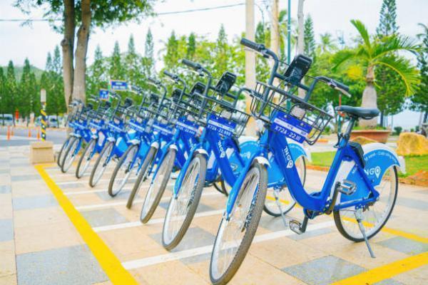Vietnam Electric Two-Wheeler Market 2024