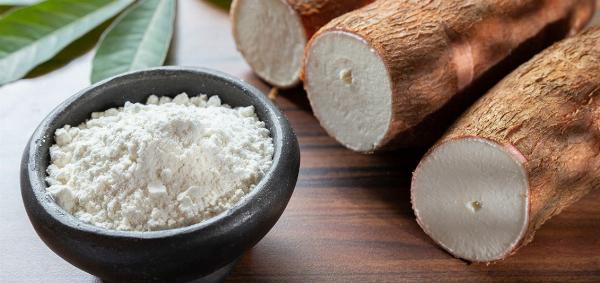 Cassava Starch Manufacturing Plant 2024: Detailed Project Report, Strategic Planning, and Cost Involved