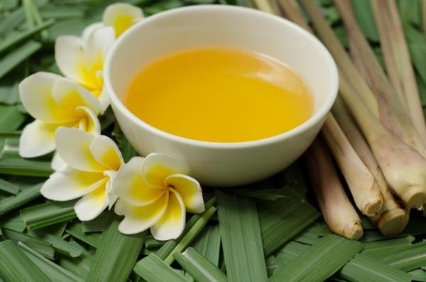 Citronella Oil Processing Plant Project Report 2024: Manufacturing Process, Materials Cost and Requirements