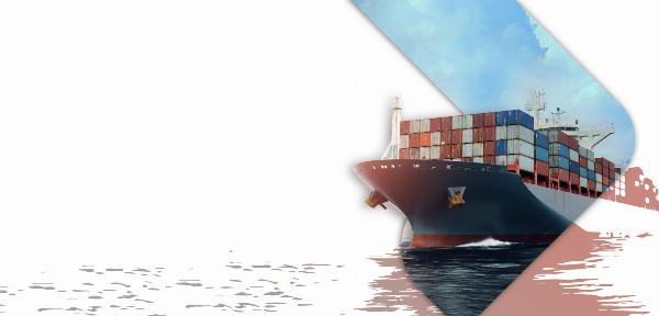 How to Optimize Business with Logistics Company?