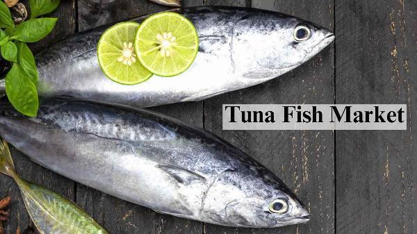 Tuna Fish Market Size, Trends and Growth Forecast to 2032