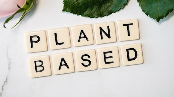 The Plant-Based Meat Market in 2024: An Overview