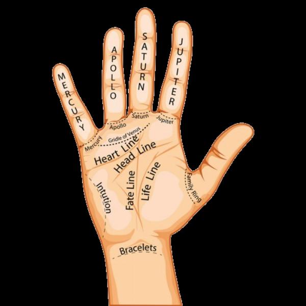 Understanding Palmistry: An Insightful Journey into Palm Reading