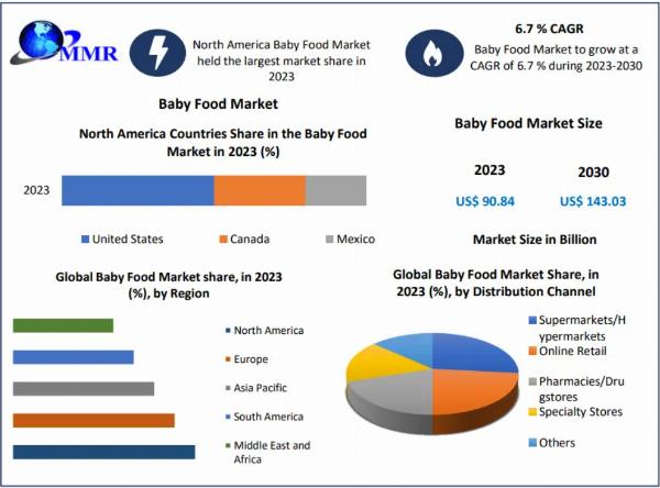 Baby Food Industry Investment Analysis and Forecast: Attracting Capital to 2030