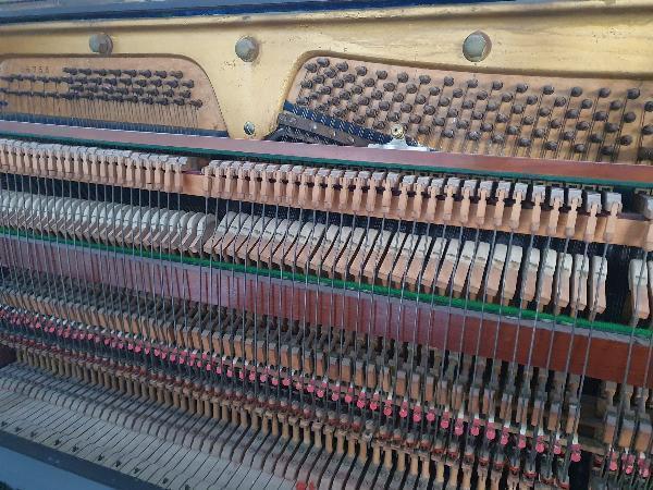 Harmonizing Your Sound: Why Choosing a Local Piano Tuner Matters