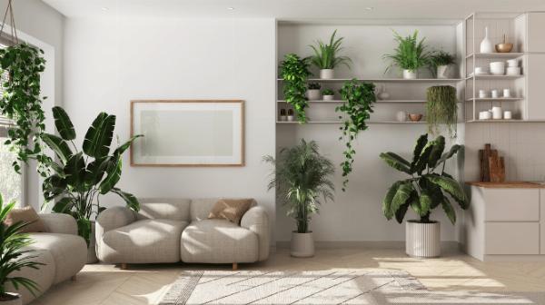 Affordable DIY Ideas to Personalize Your Indian Home