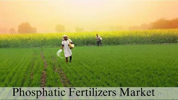 Phosphatic Fertilizers Market Size, Growth and Forecast Overview Through 2032