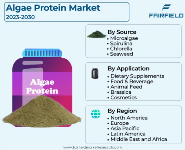 What is the Market Size of Algae Protein in the US?