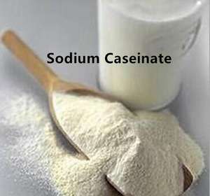 Sodium Caseinate Manufacturing Plant 2024: Project Report, Raw Materials, Manufacturing Process, Plant Cost and Revenue