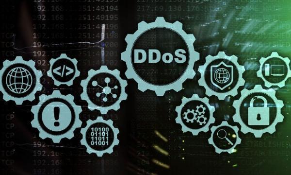 DDoS Protection and Mitigation Solution Market Size & Share