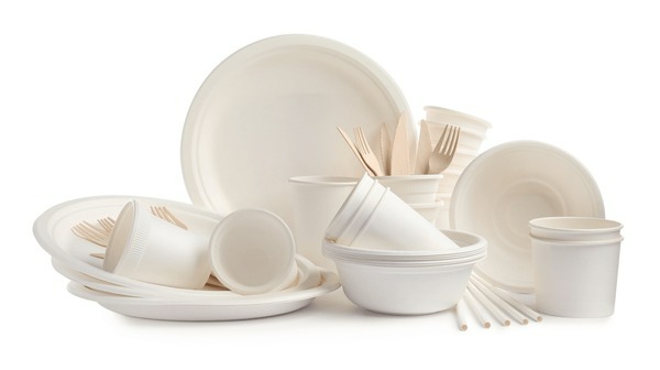 Rice Husk Based Disposable Cups and Plates Manufacturing Plant Report Covering Project Cost Structure, Setup Layout and Requirements