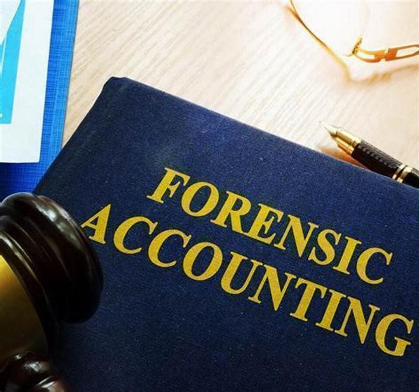 Unlocking the Truth: Forensic Accounting and Disputes in Florida