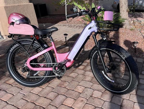 Future-Proofed: Investing in the Most Durable E-Bikes for Long-Term Use