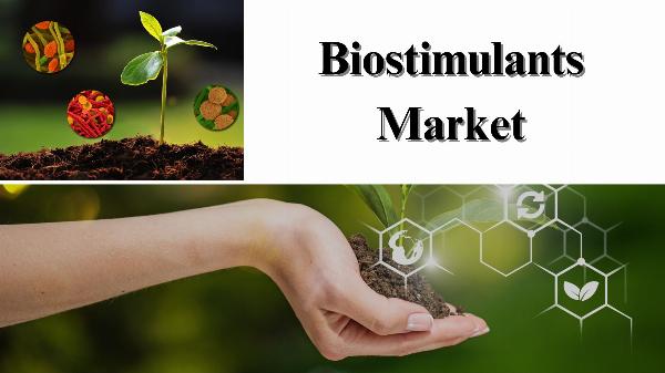 Biostimulants Market Size, Share, Report, Growth and Forecast to 2032