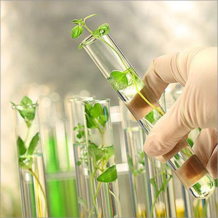 Hydroglycolic Extract Market Size, Industry Research Report 2023-2032
