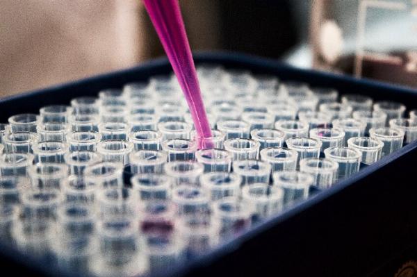 Comprehensive Introduction of BLI and SPR