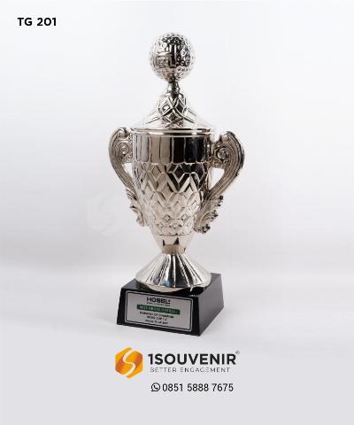 Piala Penghargaan: Simbol Prestasi dan Apresiasi