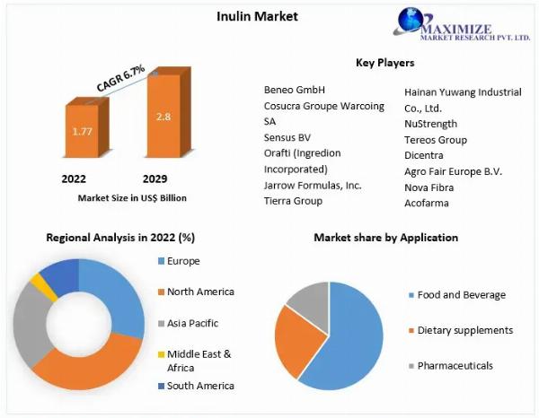 Inulin Market Strategies With Forecast To 2023-2029