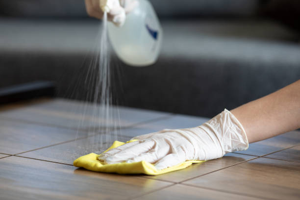 Surface Disinfectant Market Outlook 2024: Trends, Challenges, and Opportunities