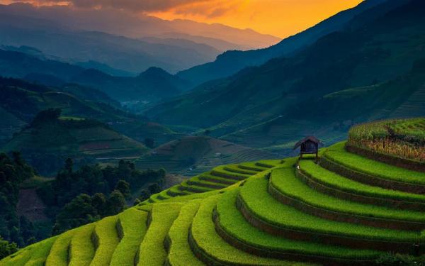 Discovering Ranikhet: A Comprehensive Guide to Ranikhet Tour Packages