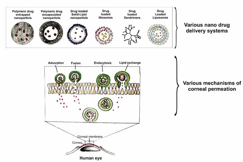 Enhance Glaucoma Therapy by Developing Next-Generation Drug Delivery Systems