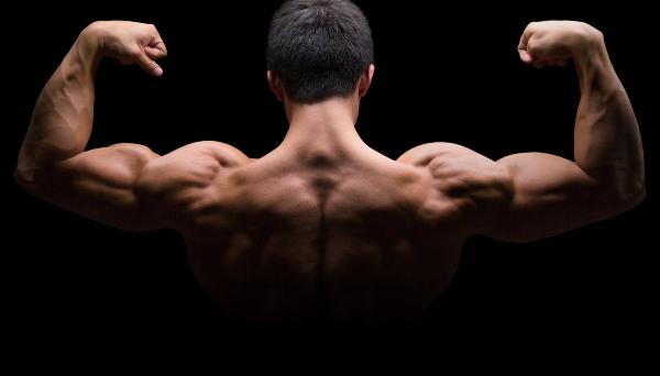 Ostarine MK-2866 Powder: The Science Behind Its Muscle-Building Power