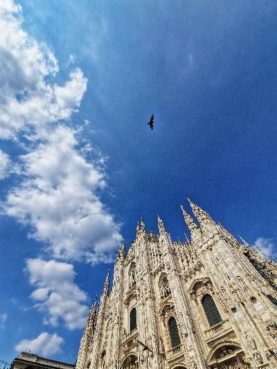 Exploring the Duomo di Milano: A Marvel of Gothic Architecture