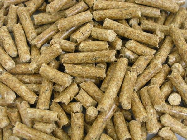 Bamboo Pellets Manufacturing Plant 2024: Raw Materials Requirements, Project Report, and Project Economics