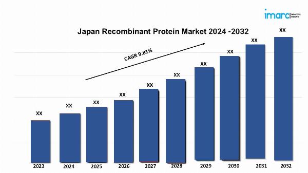 Japan Recombinant Protein Market Outlook 2024-2032, Size, Share, Growth, Key Players, and Report